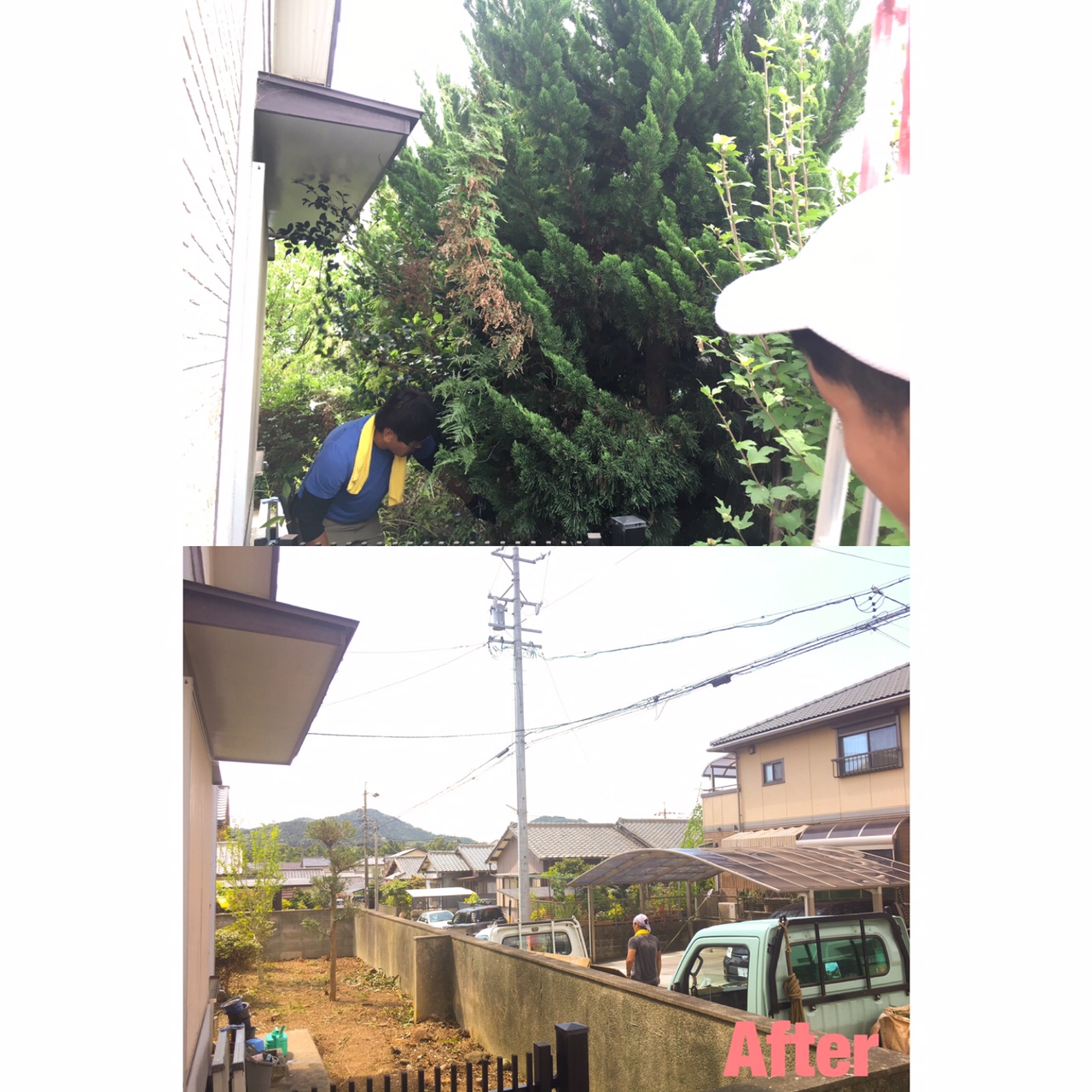 津市 庭木 間引き伐採 管理 剪定屋空
