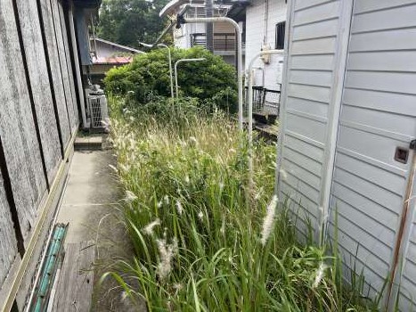 四日市の剪定(5枚目)