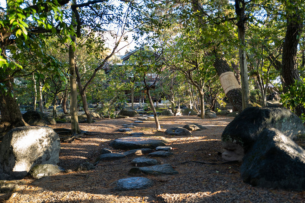 三重県剪定伐採専門店剪定屋空