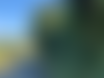 三重県いなべ市にて道路にはみ出した樹木伐採作業事例