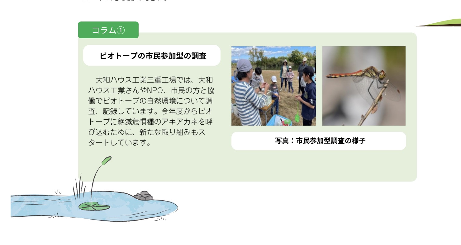 Small ecological bug hotel (insect hotel) for home garden biodiversity — installation and wildlife observation in Japan