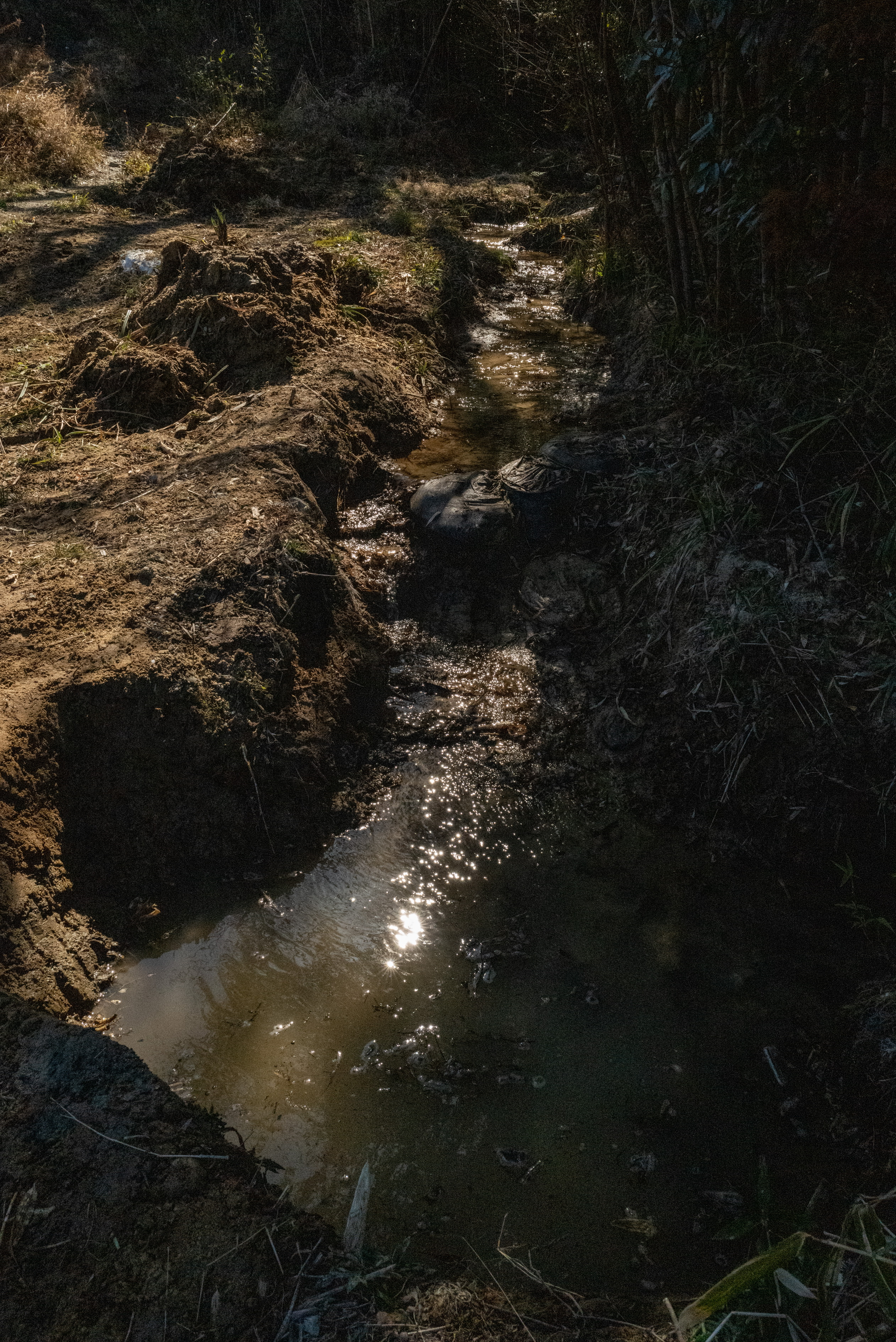 Biotope environment improvement and habitat restoration — Sentei-ya Sora, Mie