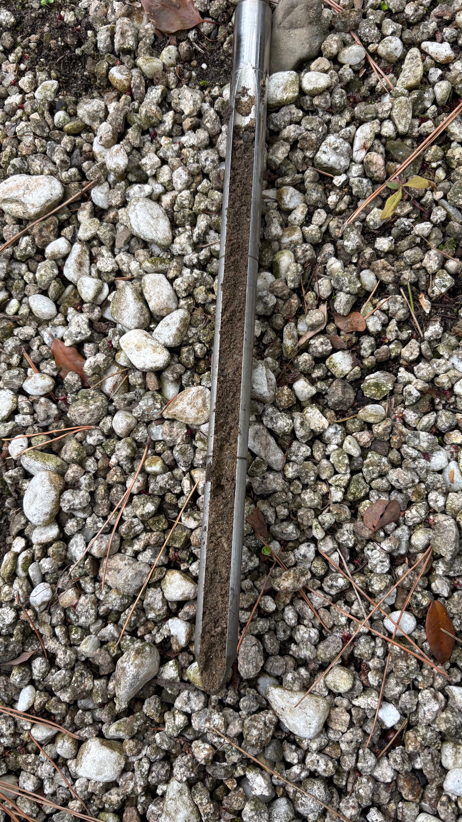 A Garden Health Check: What Soil Tells You About a Garden's Future — Soil Improvement at Onoue Villa
