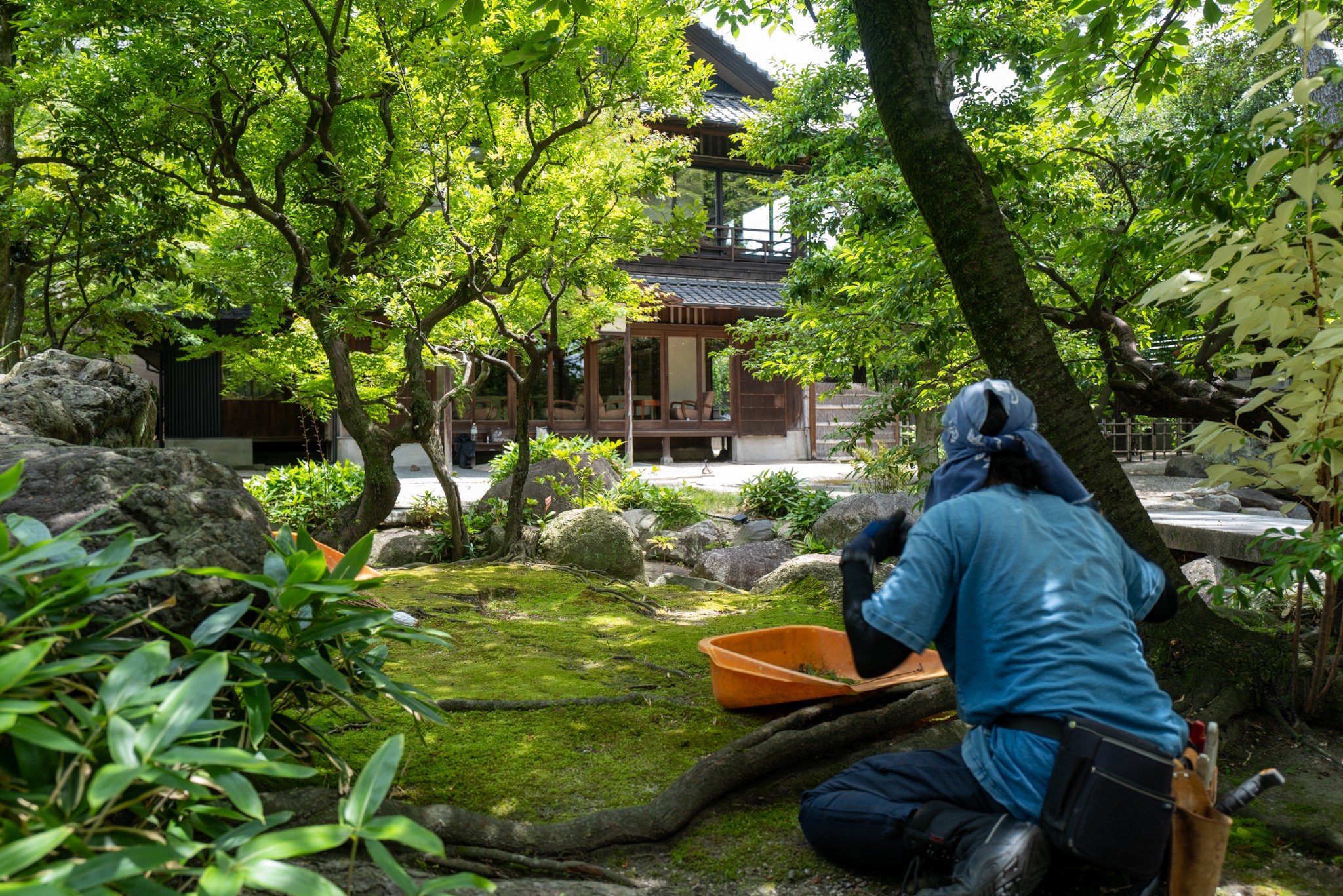 四日市・尾上別荘庭園の回復した苔と建物