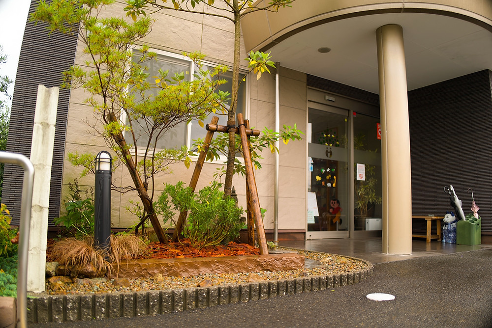 ヤクシマツツジ 植栽