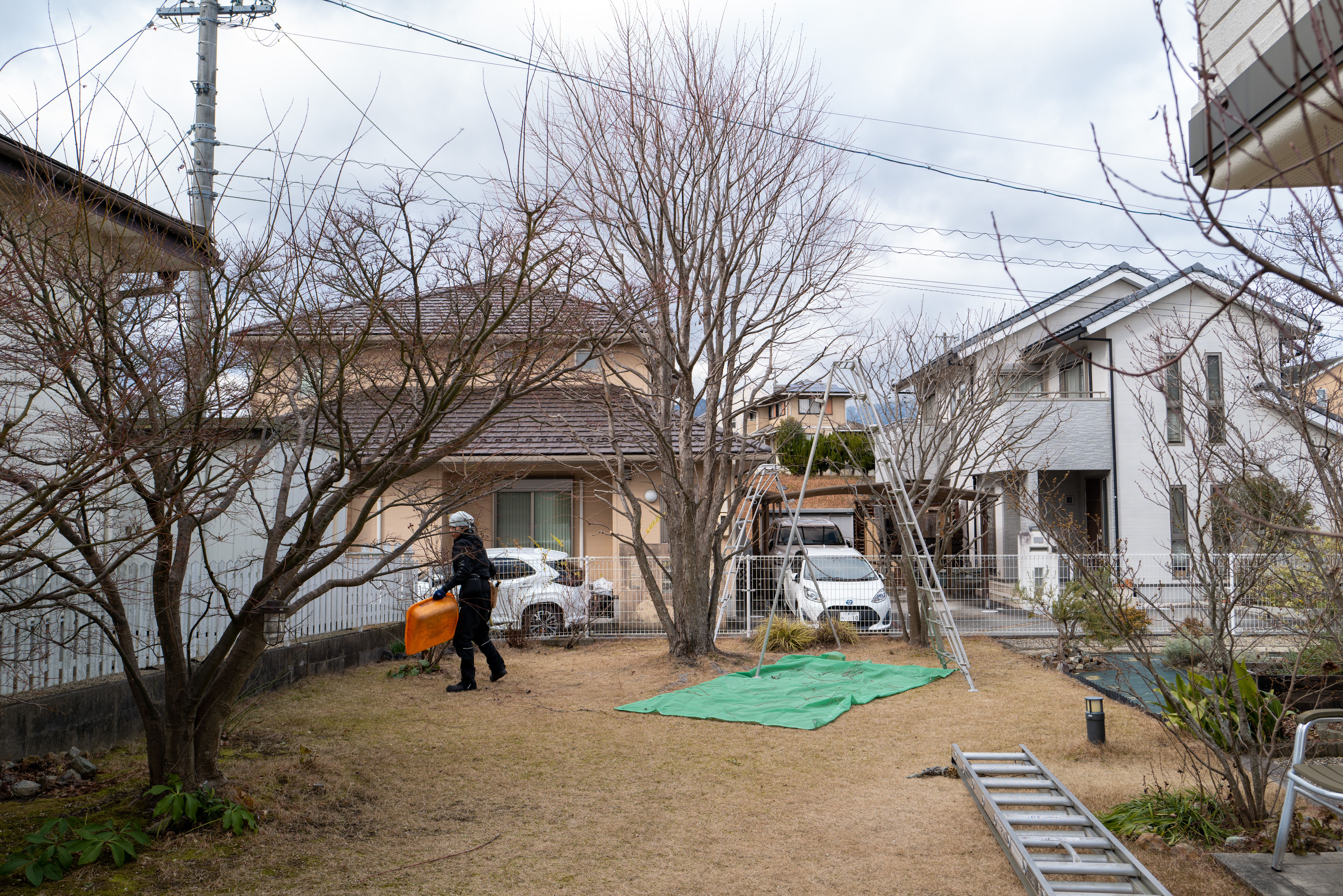 Japanese maple before pruning garden care Mie Japan senteiyasora