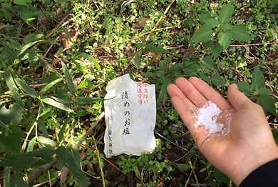 三重県での樹木伐採前の準備 伝統と安全を重視した施工前の確認