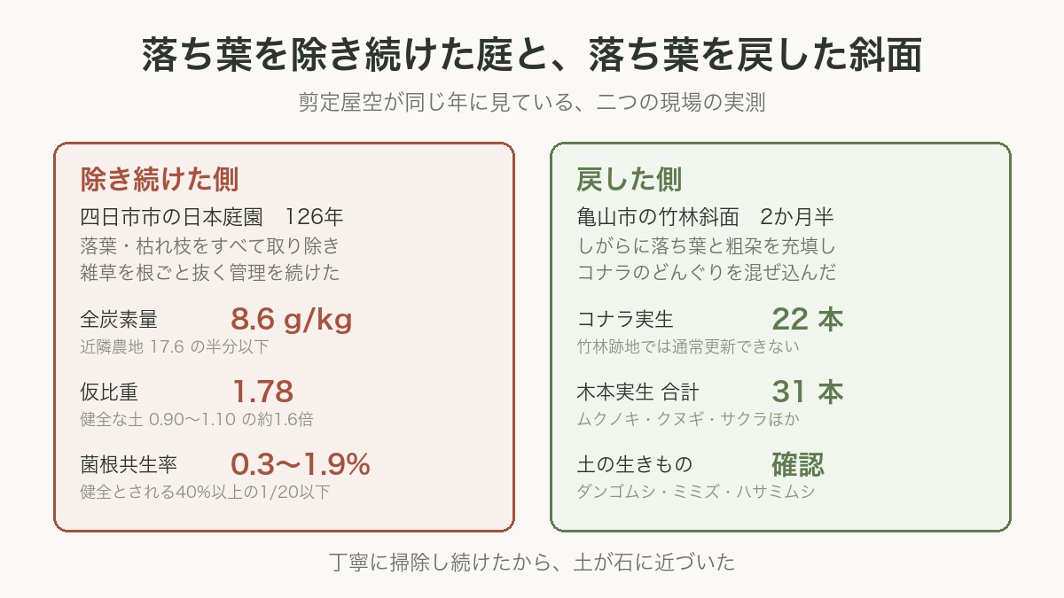 落ち葉を除き続けた庭と戻した斜面の実測比較 剪定屋空