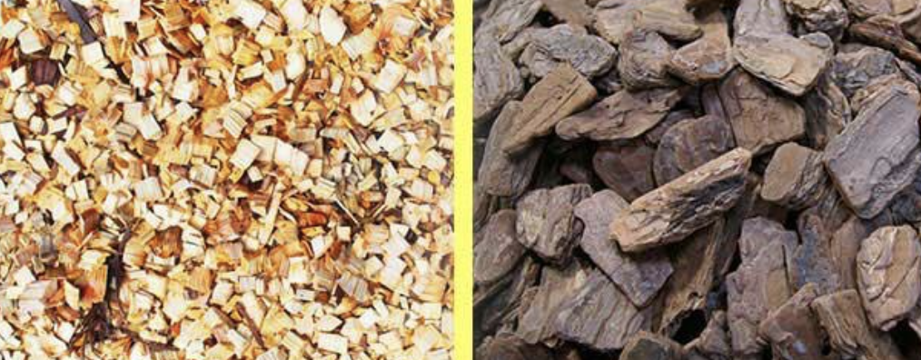 自然素材のマルチング材。落ち葉や木材チップを表層に施すことで踏圧を和らげ、土壌微生物の環境を守る。