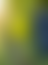 Why Wine Education Matters More Than Ever (And How Vine45 Will Lead the Way)