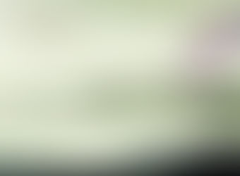 惊蛰养生好,一年不往医院跑!