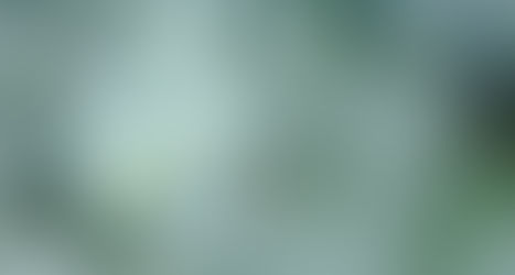 节气 | “春分灸”疏肝火养脾胃,四大穴位全搞定!
