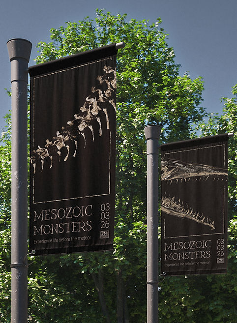 Pole_Flag_Mockup_3 copy_edited.jpg