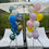 Thumbnail: 2 Dozens Helium Balloons 2 Bunches 