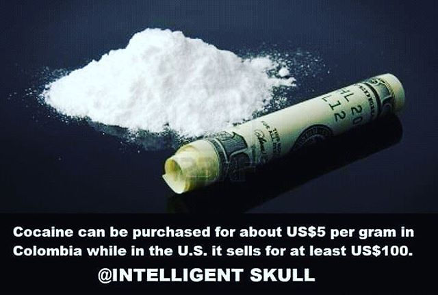 Intelligent Skull