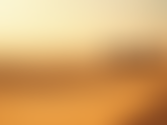 Merzouga Camel Trekking: Camel Trek Preparation Tips