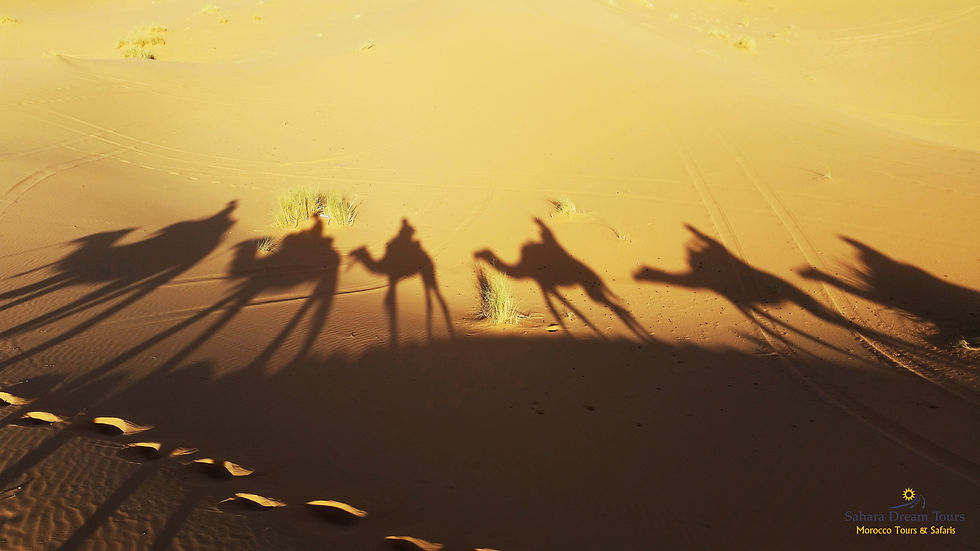 Camel Ride in Merzouga Desert