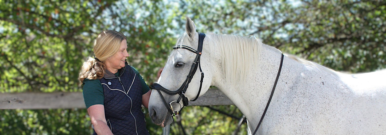 Katrin und ihre Lipizzanerstute Tosiana