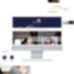 Neuro Somatics Website