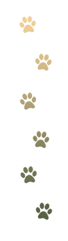 Pfotenabdrücke