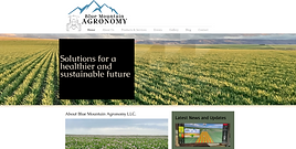 bluemountainagronomy com.png