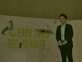 p6.jpg