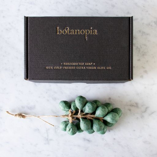 BOTANOPIA GRAPPES SAVON