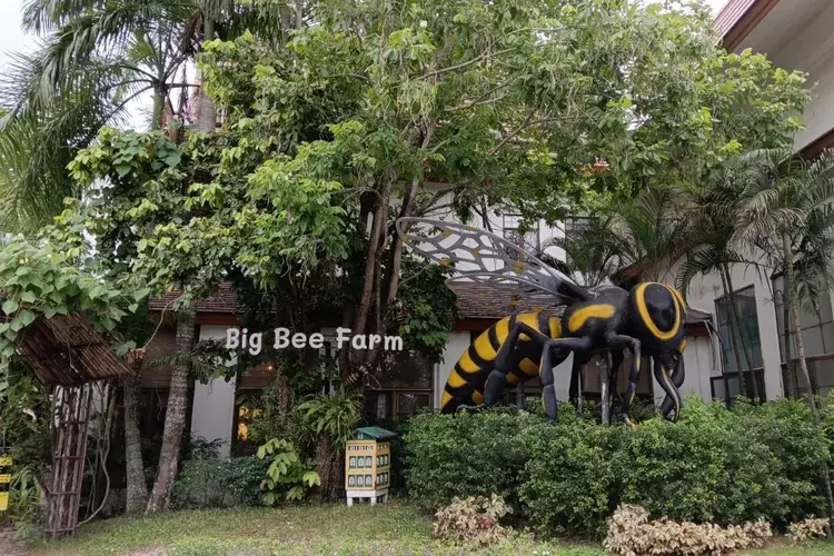 Bee-Farm-bangkok-thailand