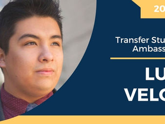 Meet Luis Veloz