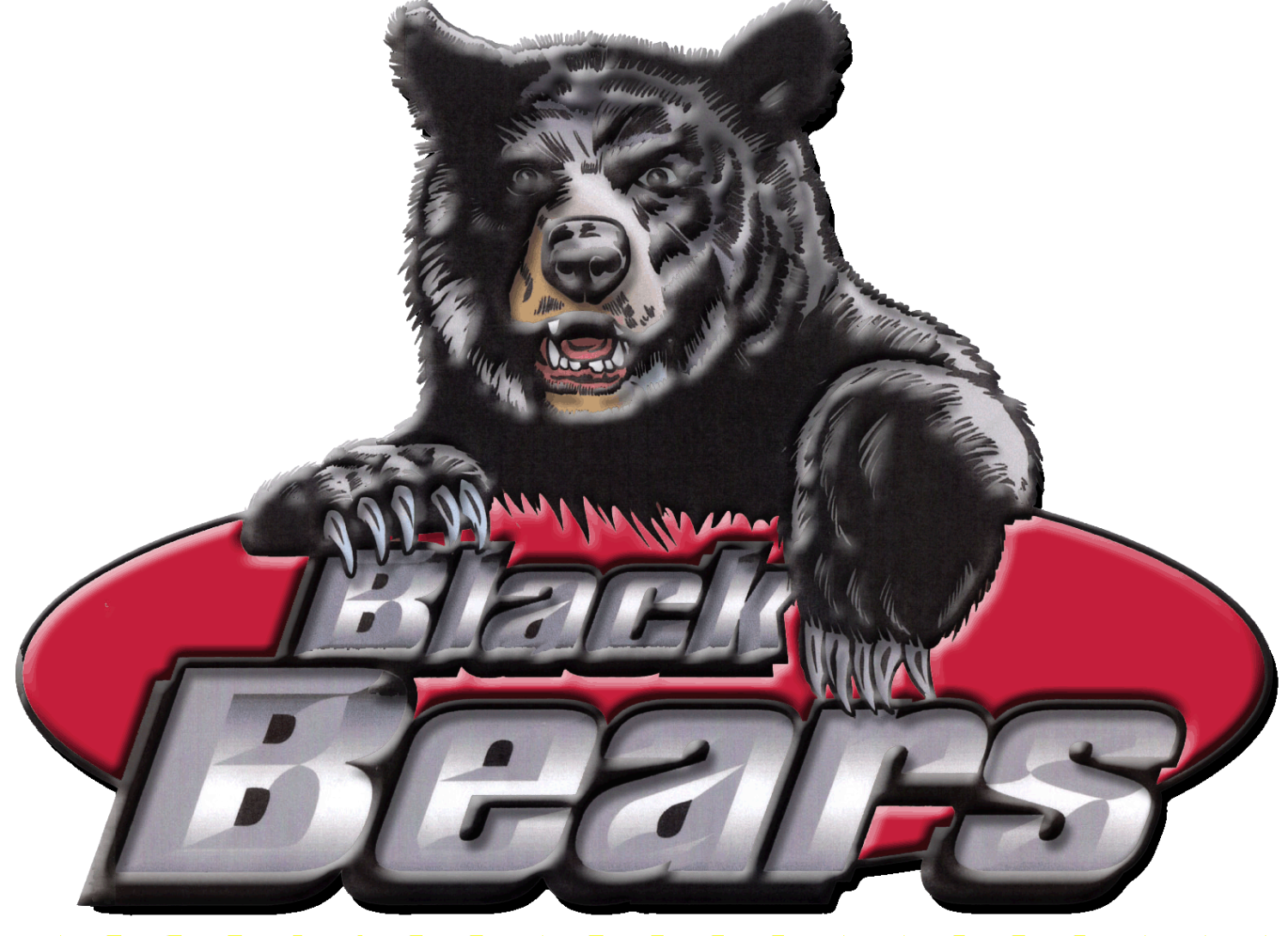 black bear.gif