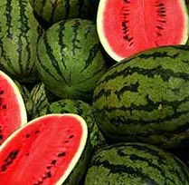 watermelons