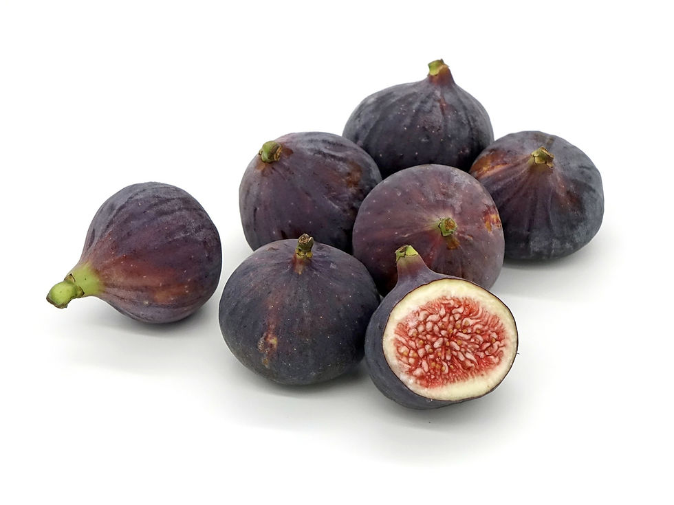 fig-1356770_1920