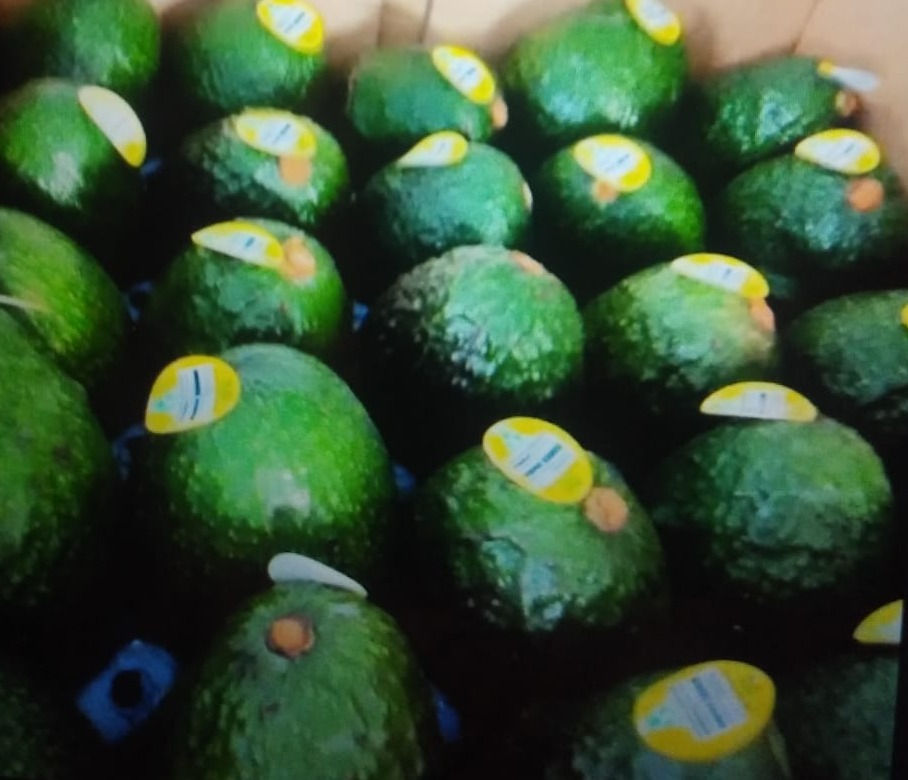 avocados