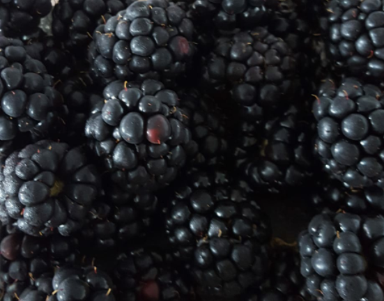 BlackBerries