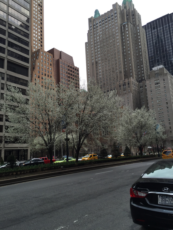 Blooms, Brunch & Bunnies