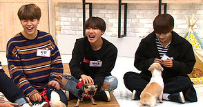 MY PET CLINIC - EP.6