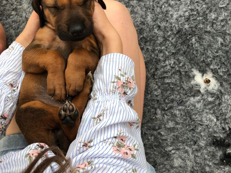 Unsere neuen Eltern....