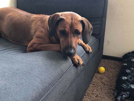 Von hier oben betrachtet...