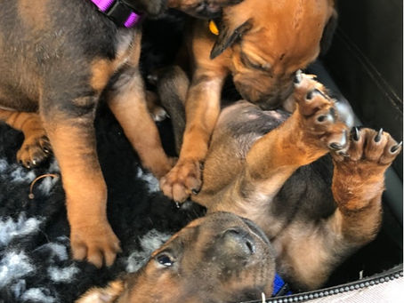 Was für ein Wetter....