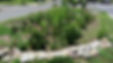 Oval Rain Garden