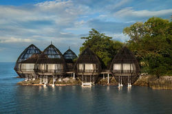 The Ritz Carlton