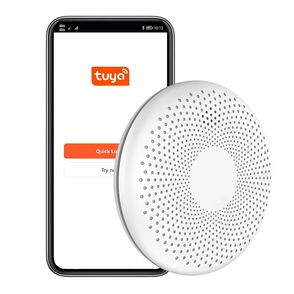 Миниатюра: WiFi Tuya Smoke and Carbon Monoxide Sensor