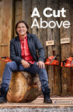 Un corte por encima del poster.jpg