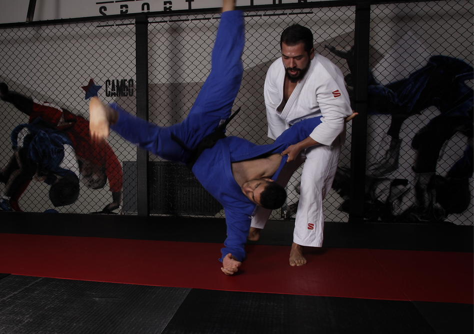 tatami4874_edited.png
