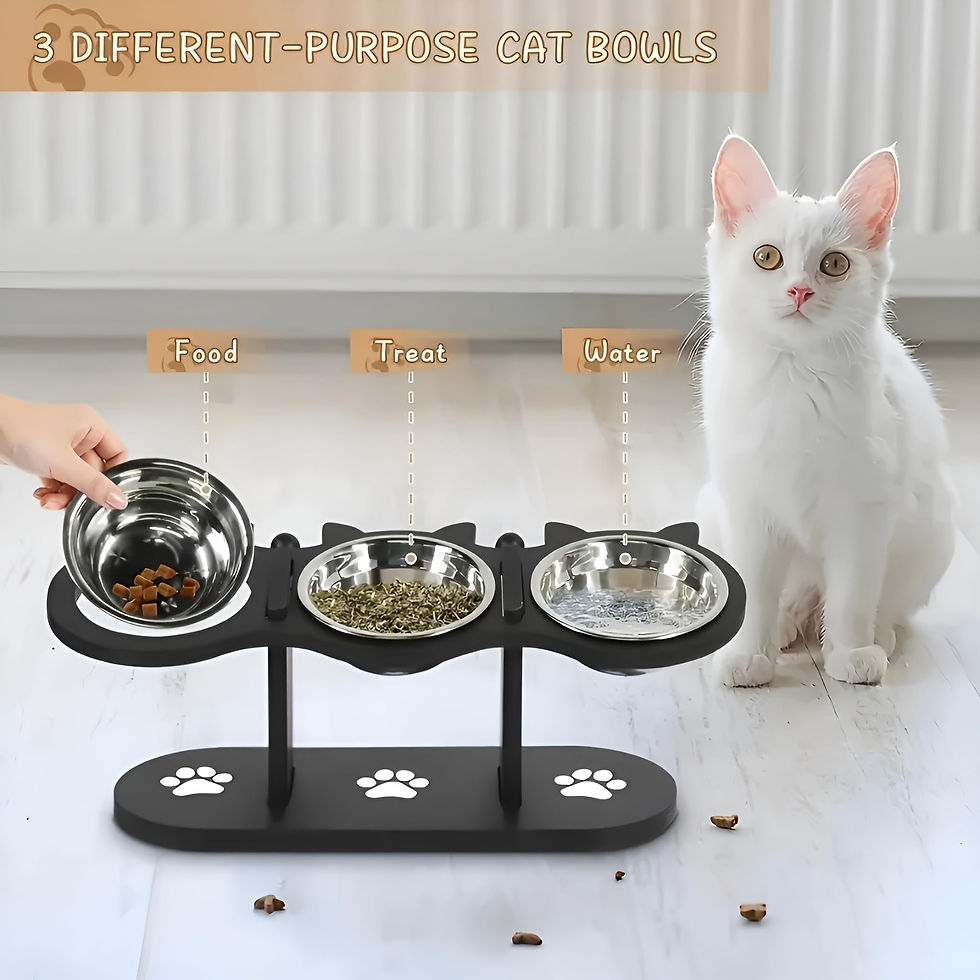 Thumbnail: Elevated Cat Food Bowl with Black Wooden Support Frame Stainless Steel Cats Bowl