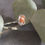 Miniature : Bague argent 925° corail