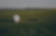 Golf_edited.jpg