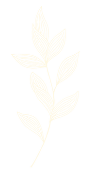 Graines de Bien Naître