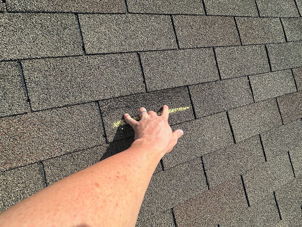 Roof inspection Image