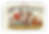 17.png